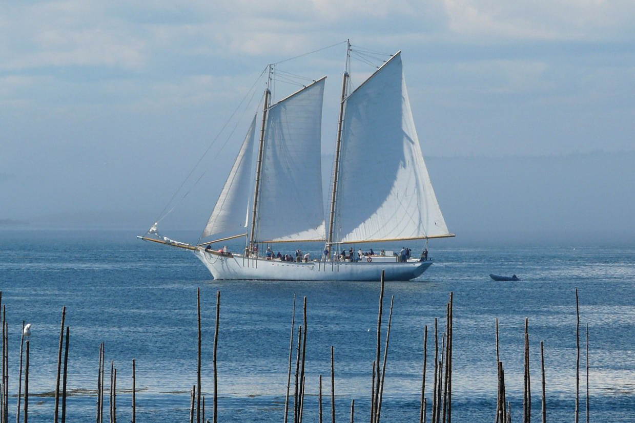 schooner timberwind with portland schooner company